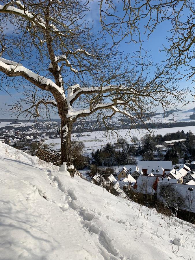 Wohlfuehl Appartments Felsberg Exteriér fotografie